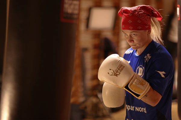 Nordic Fight Night