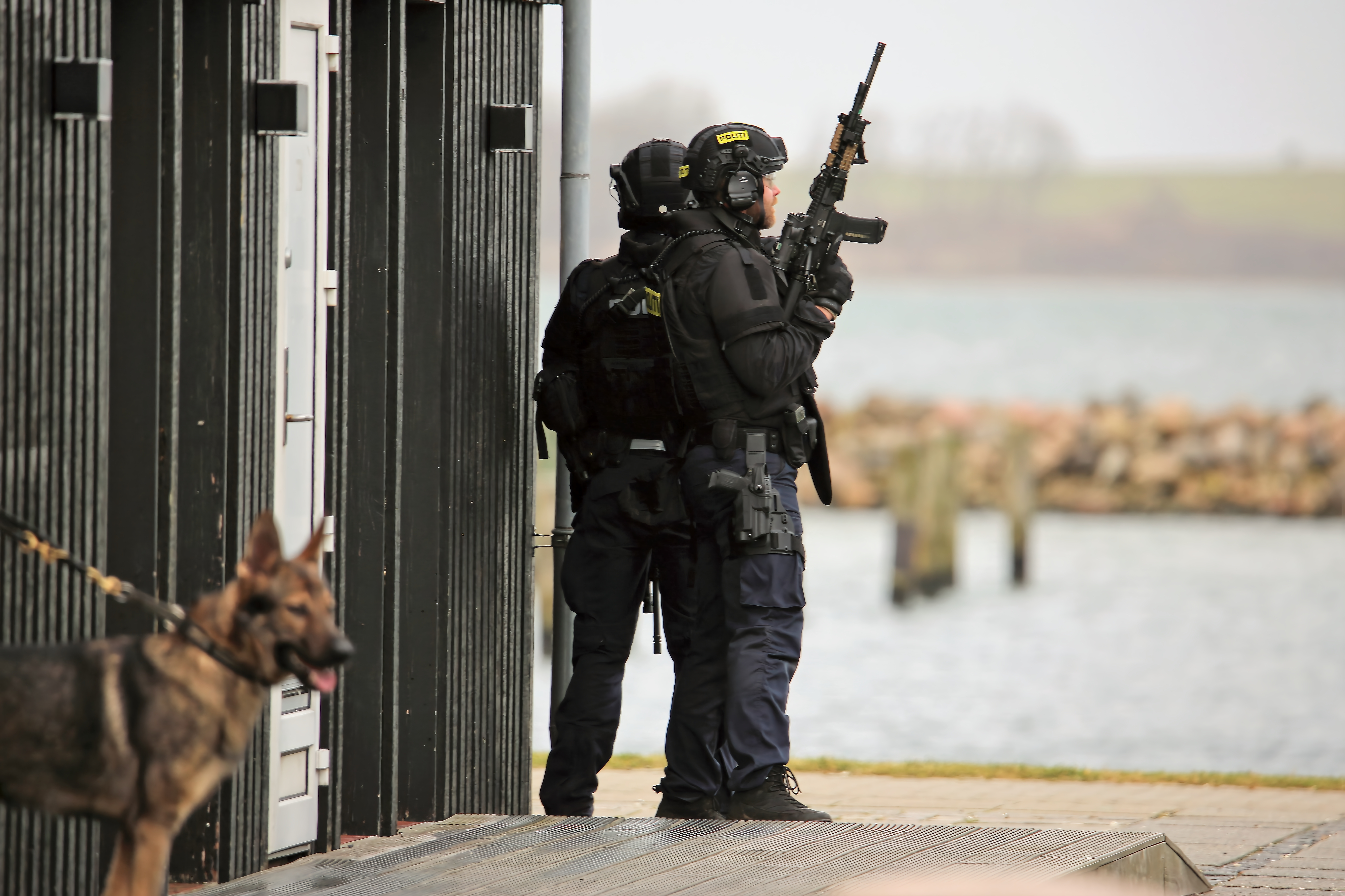 Struer Nyheder Politi på havnen