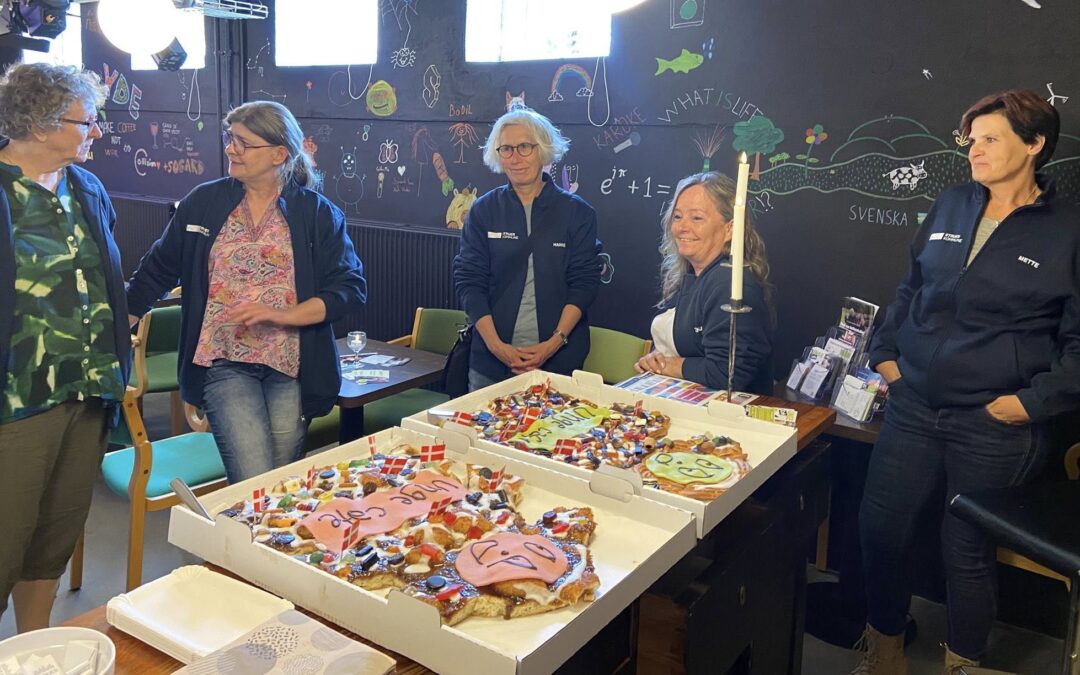 Den nye Unge Café blev indviet i “Kælderen”