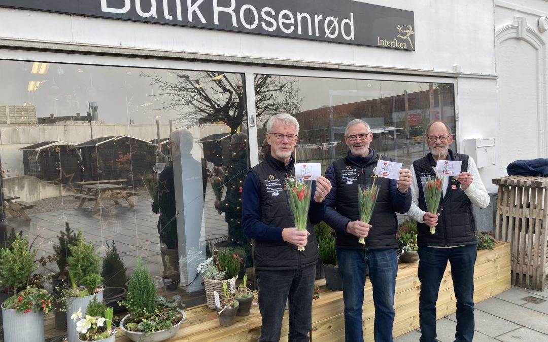 Støt med en Lions-tulipanbuket